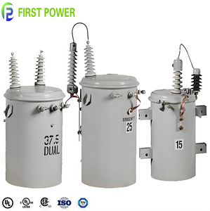 ANSI 13.8kV Single Phase Pole Transformer